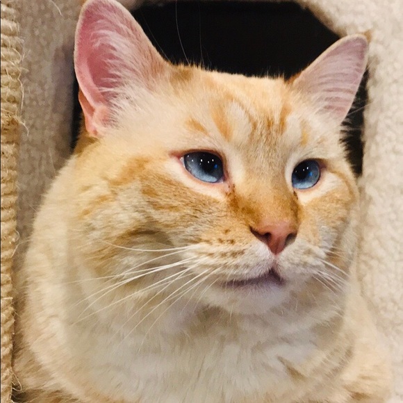 Meet your Posher, Melissa - Picture 2 of 5